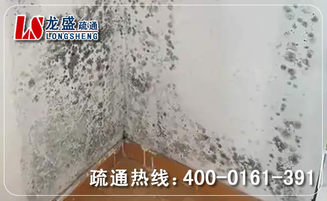 杭州除菌除霉味